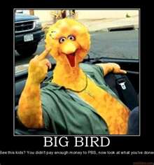 Big Bird